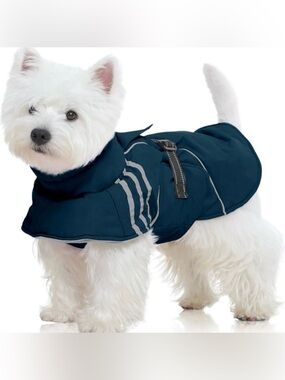 Teal Dog Raincoat with Reflective Stripes - Unbranded